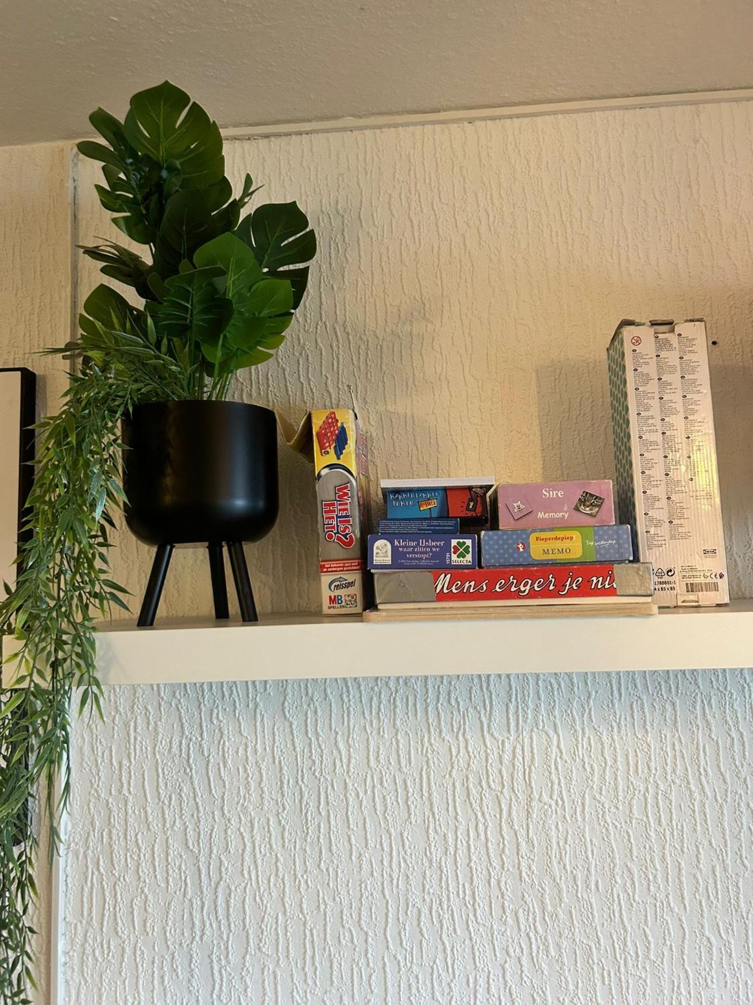 Glueck Apartment *